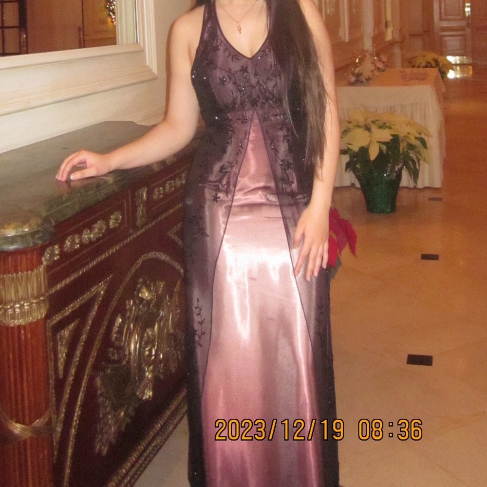 Rare vintage embroidered beaded Prom dress/evening dress